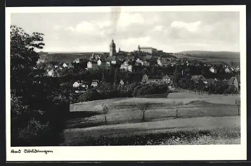 AK Bad Wildungen, Ortsansicht bei Tag