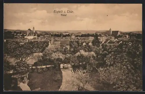 AK Eisfeld i. Thür., Ortsansicht im Frühling