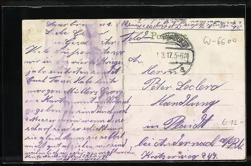 AK Saarbrücken, Blick in den Stadtpark