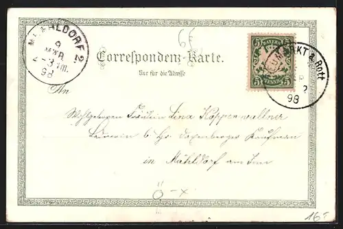 Lithographie Reichenau, Curhaus, Thalhof, Villa Wartholz, Ortsansicht