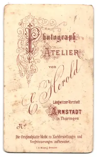 Fotografie E. Herold, Arnstadt, Portrait älterer Herr mit Vollbart