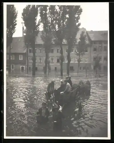 Fotografie Hildebrandt, Neustadt / Orla, Ansicht Neustadt / Orla, Pferdefuhrwerk bahnt sich den Weg durchs Hochwasser