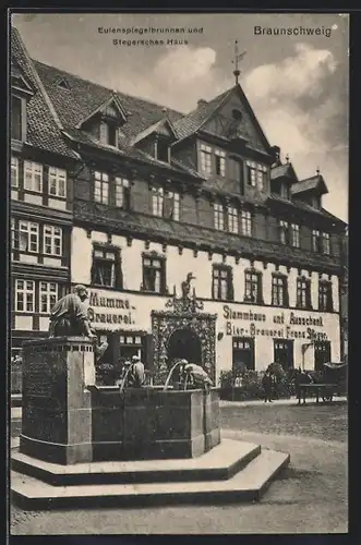 AK Braunschweig, Eulenspiegelbrunnen und Stegersches Haus