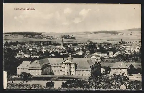 AK Château-Salins, Vue Générale