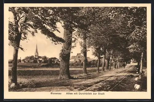 AK Rosenau, Allee mit Durchblick zur Stadt