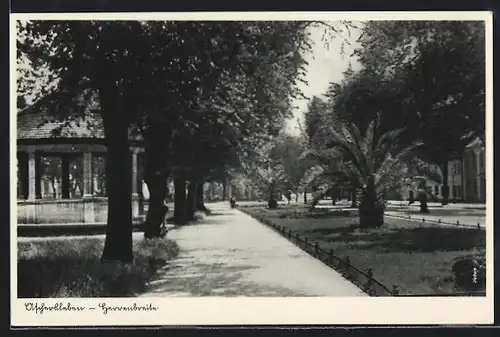 AK Aschersleben, Herrenbreite