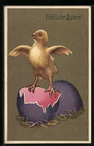 AK Osterküken auf der Eierschale