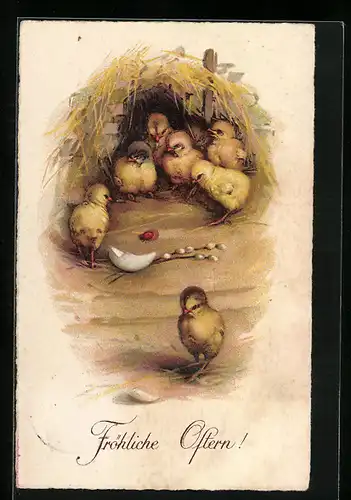 AK Osterküken begutachten Marienkäfer