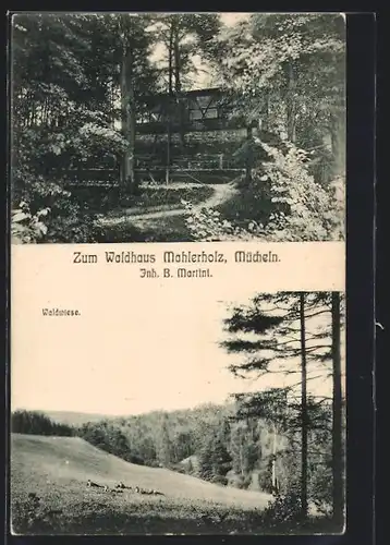AK Mücheln, Waldhaus Mahlerholz, Waldwiese
