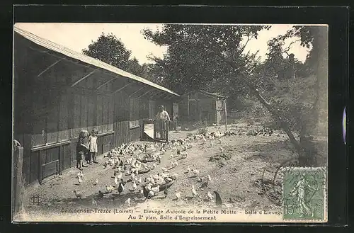 AK Onzoner-sur-Trézée, Elevage Avicole de la Petite Motte, Salle d`Elevage