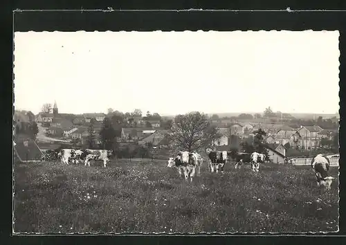 AK Meuse, Vue générale