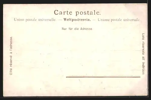 Künstler-AK Ernst Schlemo: Lugano-Paradiso, Pension Villa Carmen u. Riviera Deutsches Haus, Teilansicht