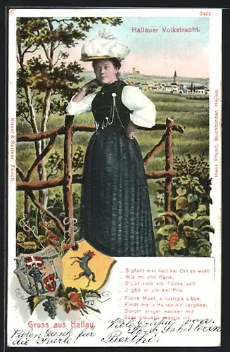 AK Hallau, Teilansicht, Dame in Tracht, Wappen