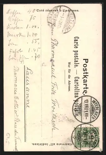 Lithographie Interlaken, Teilansicht mit Bergen