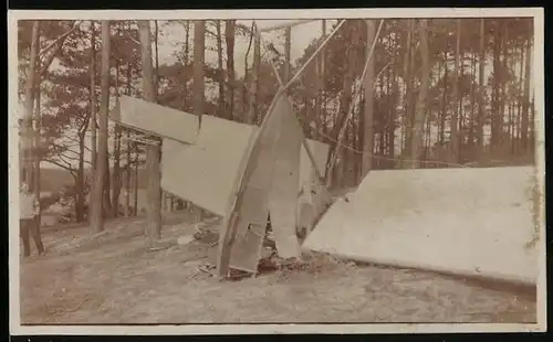 Fotografie Segelflug, Segelflugzeug in einem Waldstück abgestürzt