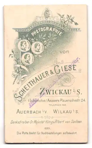 Fotografie Scheithauer & Giese, Zwickau i. S., Äussere Plauenschestrasse 24, Kind im bestickten Kleidchen