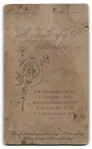 Fotografie A. Jandorf & Co., Berlin, Bellealliancestrasse 1 /2, Kleinkind auf einer Bank stehend