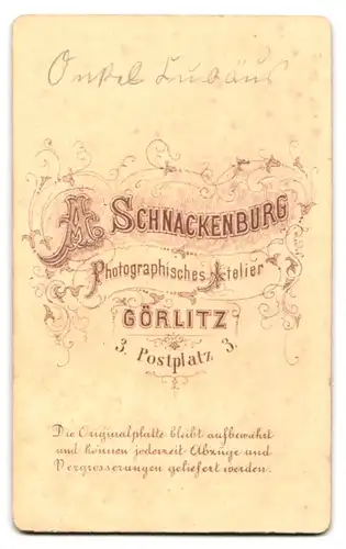 Fotografie A. Schnackenburg, Görlitz, Postplatz 3, Bürgerlicher Herr im Anzug mit Vollbart