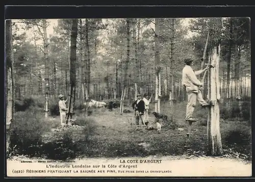 AK L`Industrie Landaise sur la Cote d`Argent, Männer schaben Baumrinde ab