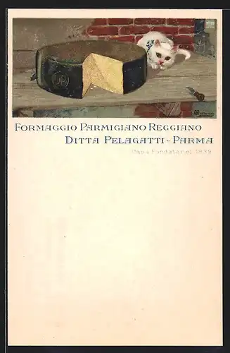 Künstler-AK Katze und angeschnittener Laib Parmiggiano Reggiano