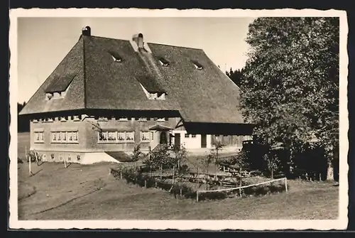 AK Furtwangen, Höhengasthaus Martinskapelle