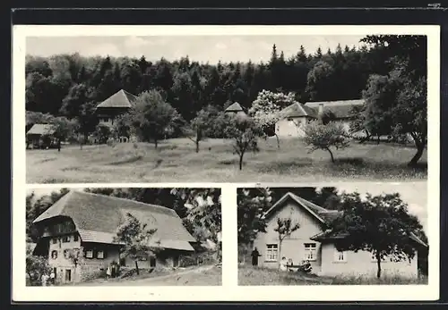 AK Schuttertal / bad. Schwarzwald, Gasthaus Sodhof
