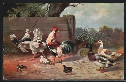 Künstler-AK Alfred Schönian: Hühner und Enten
