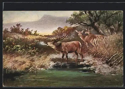 Künstler-AK Alfred Schönian: Röhrender Hirsch mit Rehen