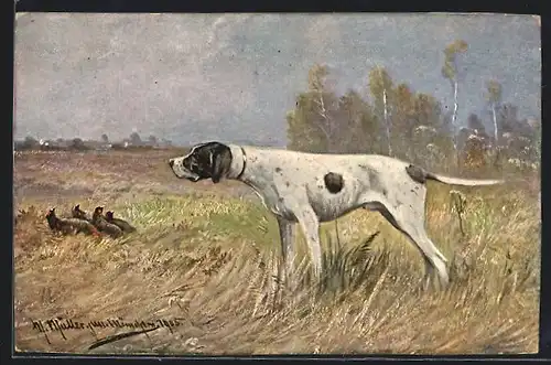 Künstler-AK M. Müller jun.: Jagdhund nach Fasanen schauend