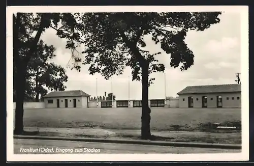 AK Frankfurt / Oder, Eingang zum Stadion