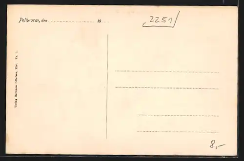 AK Pellworm, Alte Kirche mit Turmruine und Umgebung