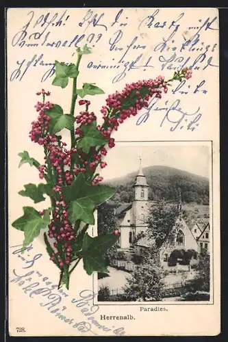 AK Herrenalb, Paradies