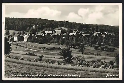 AK Burkersdorf /Thür. Wald, Ortsansicht aus der Vogelschau