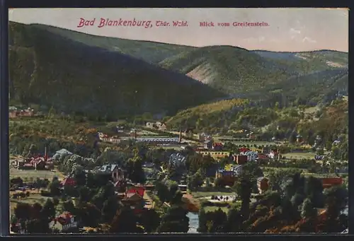 AK Bad Blankenburg /Thür. Wald, Blick vom Greifenstein