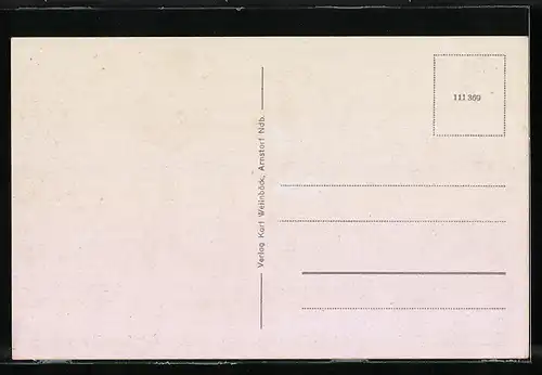 AK Arnstorf, Ansicht vom Schloss