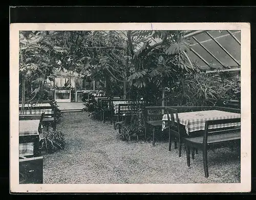 AK Lorch-Württ., Waldkaffee Muckensee, Wintergarten mit Tanzdiele