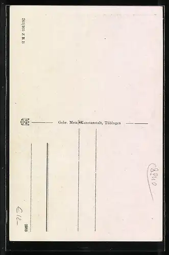 Künstler-AK Memmingen, Ortspartie mit Mau im Zuber