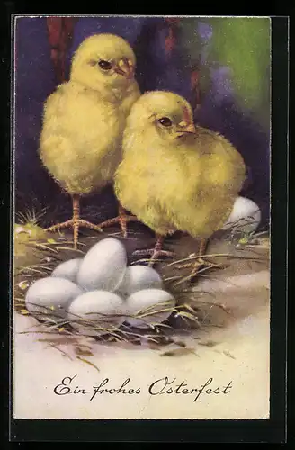 AK Osterküken mit Eiern