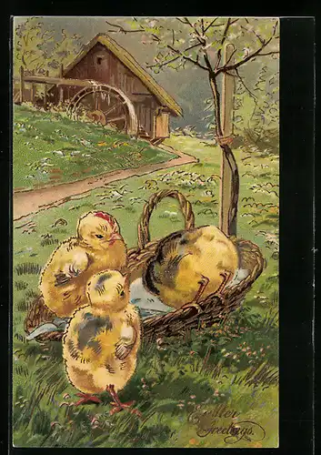 AK Osterküken im Körbchen