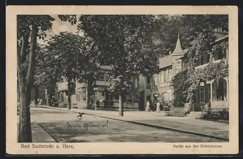 AK Bad Suderode a. Harz, Partie aus der Brinkstrasse