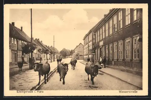 AK Elbingerode i. Harz, Wasserstrasse mit Rindern