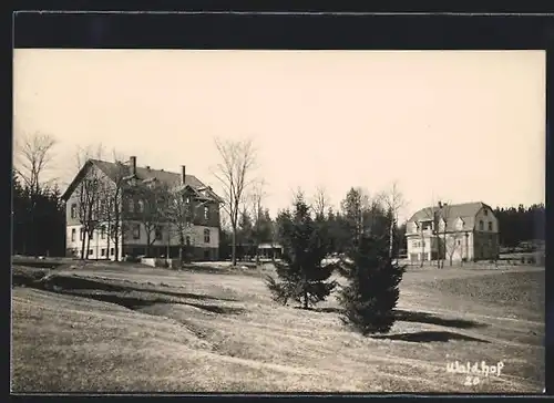 Foto-AK Reiboldsgrün, Gasthaus Waldhof