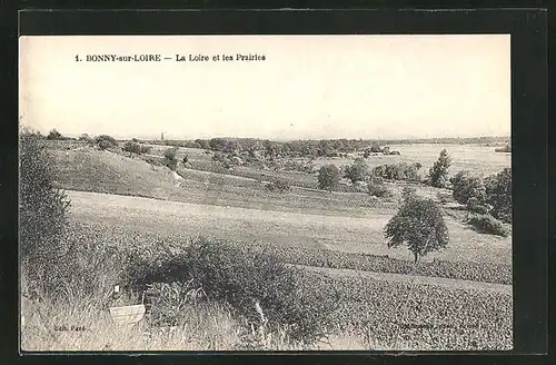 AK Bonny-sur-Loire, La Loire et les Prairies, Panorama