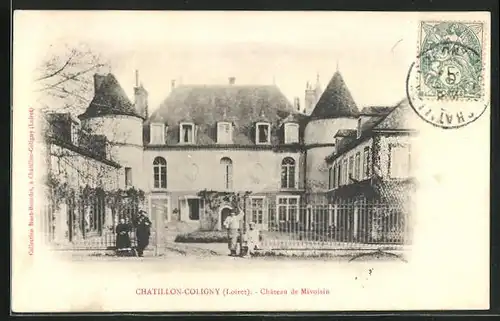 AK Chatillon-Coligny, Chateau de Mivoisin