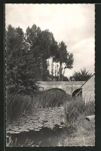 AK La Chapelle-sur-Aveyron, Vue sur la Riviere