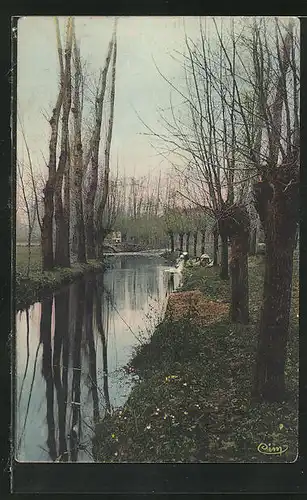 AK Bonny, Les bords de la Cheuille