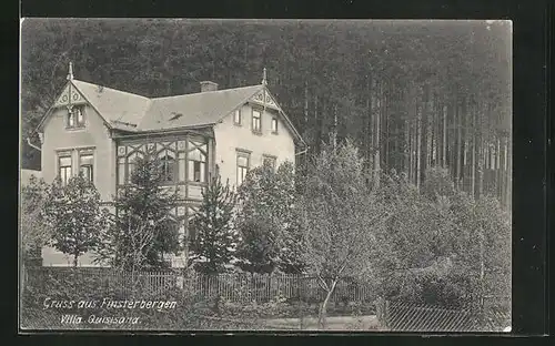 AK Finsterbergen, Hotel-Pension Villa Quisiana