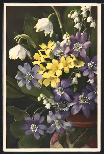 Foto-AK Emanuel Gyger: Frühlingsblumen