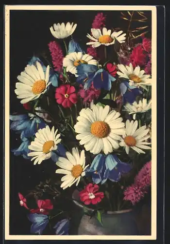 Foto-AK Emanuel Gyger: Wiesenblumen