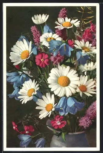 Foto-AK Emanuel Gyger: Wiesenblumen